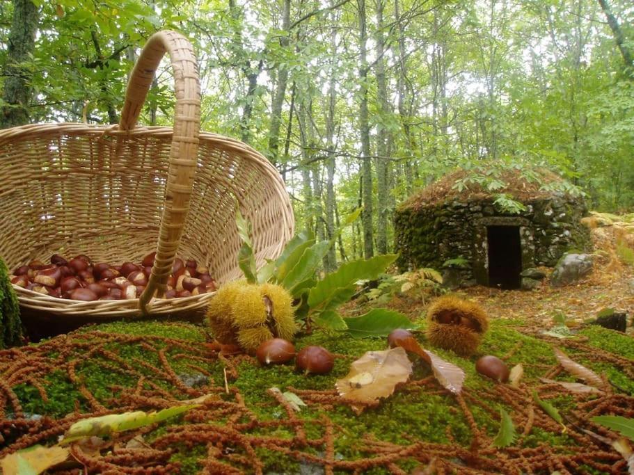 Montánchez Casa Rural Margarita II المظهر الخارجي الصورة